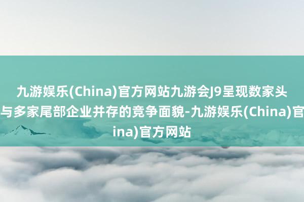 九游娱乐(China)官方网站九游会J9呈现数家头部企业与多家尾部企业并存的竞争面貌-九游娱乐(China)官方网站