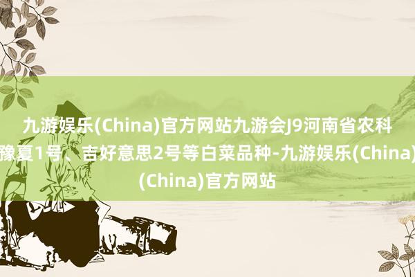 九游娱乐(China)官方网站九游会J9河南省农科院选育的豫夏1号、吉好意思2号等白菜品种-九游娱乐(China)官方网站