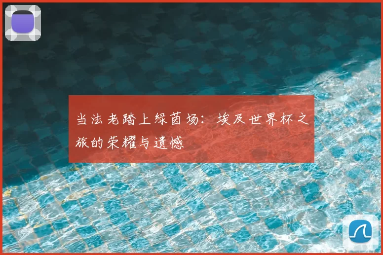 当法老踏上绿茵场:埃及世界杯之旅的荣耀与遗憾