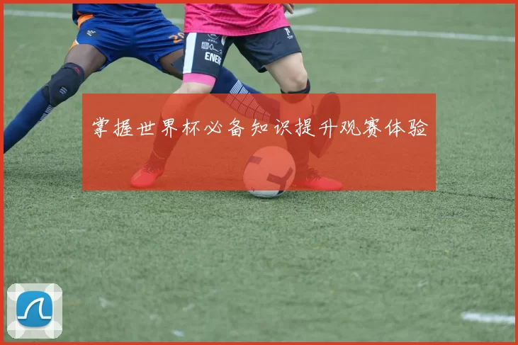 掌握世界杯必备知识提升观赛体验
