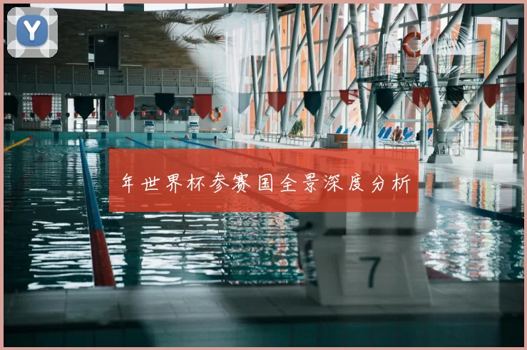 年世界杯参赛国全景深度分析