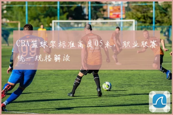 CBA篮球架标准高度05米，职业联赛统一规格解读