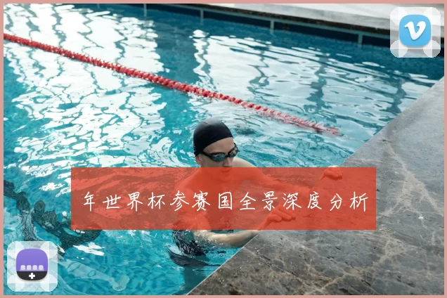 年世界杯参赛国全景深度分析
