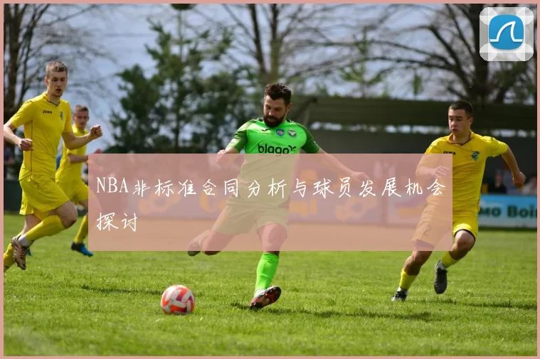 NBA非标准合同分析与球员发展机会探讨