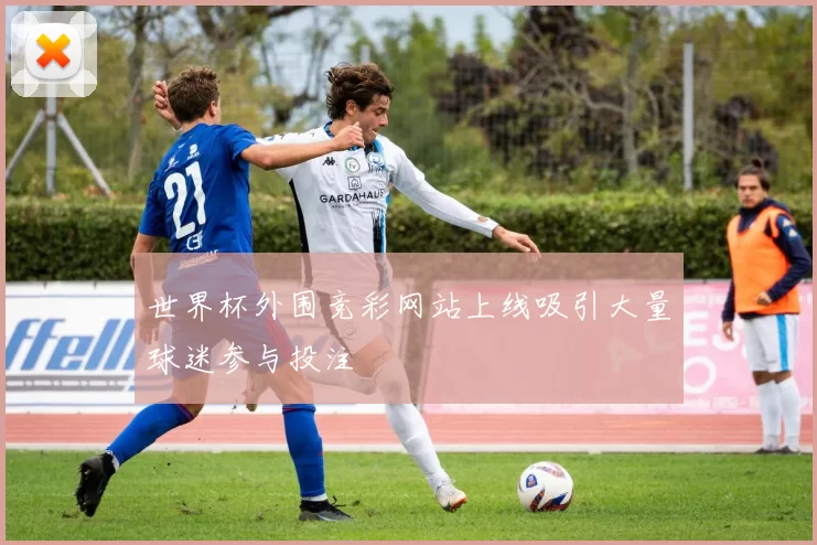 世界杯外围竞彩网站上线吸引大量球迷参与投注