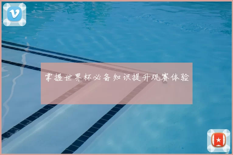 掌握世界杯必备知识提升观赛体验