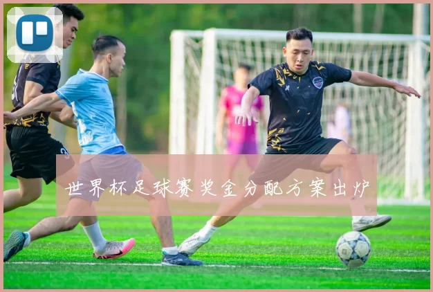 世界杯足球赛奖金分配方案出炉