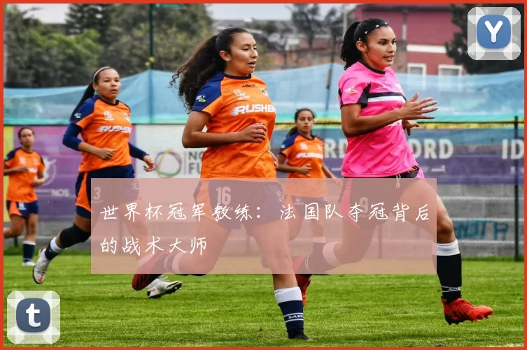 世界杯冠军教练:法国队夺冠背后的战术大师