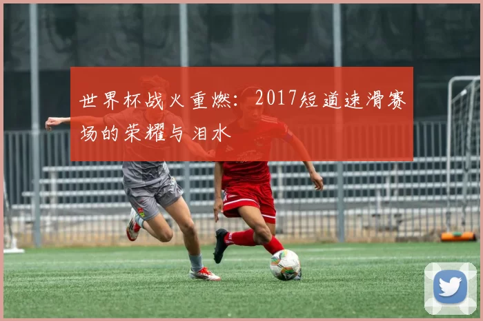 世界杯战火重燃：2017短道速滑赛场的荣耀与泪水