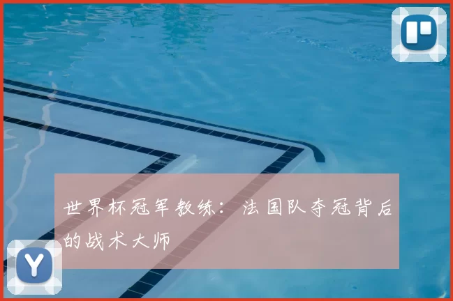世界杯冠军教练：法国队夺冠背后的战术大师