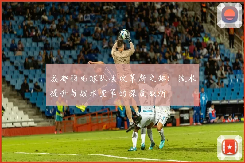 成都羽毛球队快攻革新之路：技术提升与战术变革的深度剖析