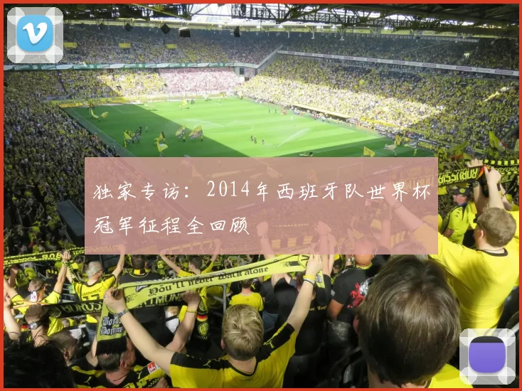 独家专访:2014年西班牙队世界杯冠军征程全回顾