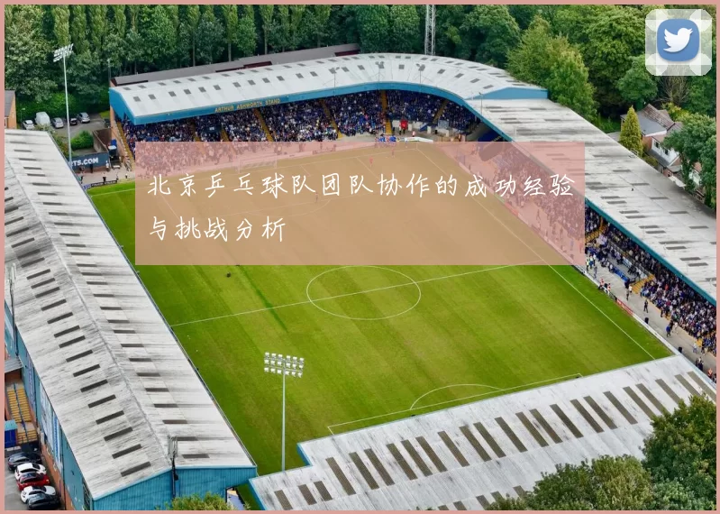 北京乒乓球队团队协作的成功经验与挑战分析