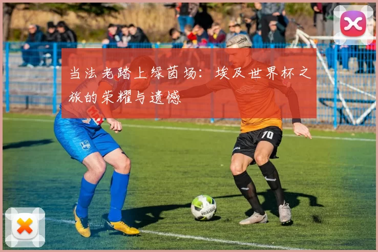 当法老踏上绿茵场:埃及世界杯之旅的荣耀与遗憾