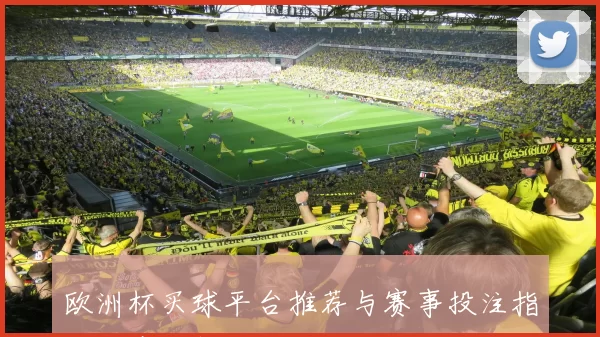 欧洲杯买球平台推荐与赛事投注指南同步更新