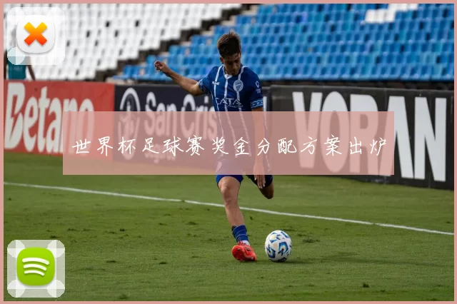 世界杯足球赛奖金分配方案出炉