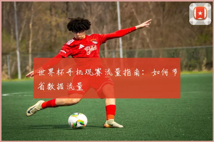 世界杯手机观赛流量指南:如何节省数据流量