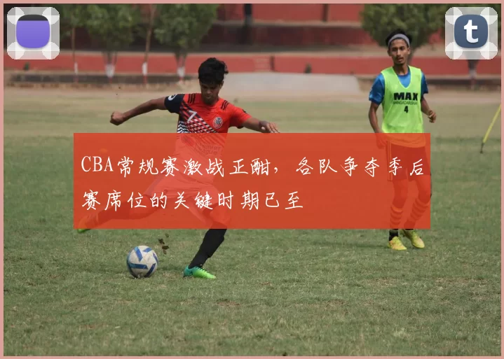 CBA常规赛激战正酣，各队争夺季后赛席位的关键时期已至