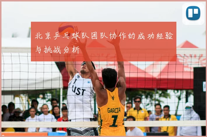 北京乒乓球队团队协作的成功经验与挑战分析