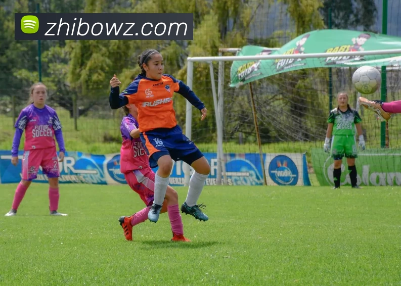 kaiyun平台生态图